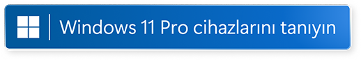 Windows 11 Pro'u tan&Auml;&plusmn;y&Auml;&plusmn;n yeni pencerede a&Atilde;&sect;&Auml;&plusmn;n