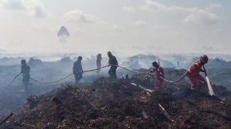 Kebakaran Masih Membara, 11 Daerah di Riau Siaga Darurat Karhutla