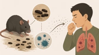 Dokter Penyakit Dalam Ingatkan Wabah Seperti Hantavirus Rentan pada Diabetes: Makanannya Gula!