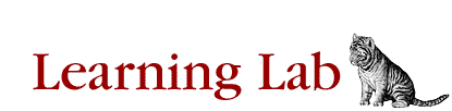 O'Reilly/Useractive Learning Labs